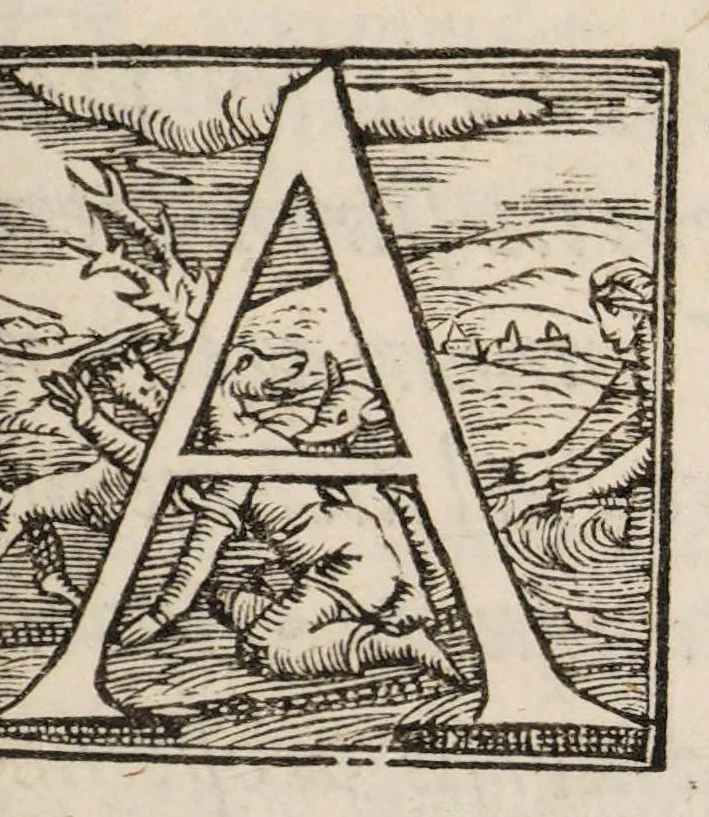 An illustration from Nicolai Massae Examen de venae sectione et sanguinis missione : in febribus ex humorum putredine ortis, ac in aliis praeter naturam affectibus, 1568, leaf 3