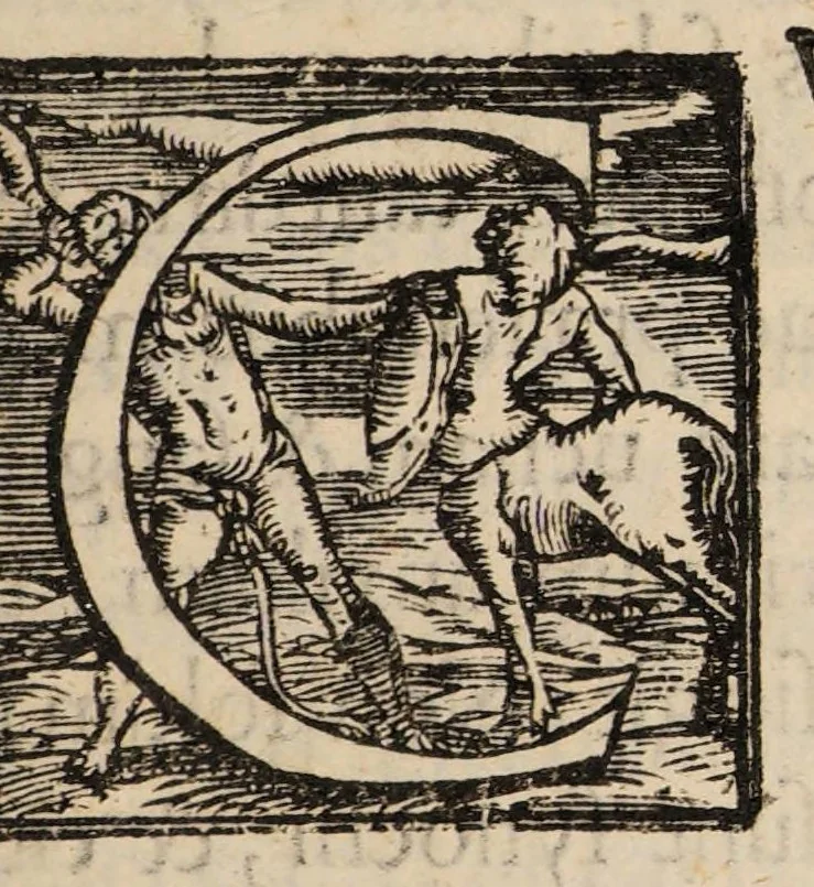 An illustration from Nicolai Massae Examen de venae sectione et sanguinis missione : in febribus ex humorum putredine ortis, ac in aliis praeter naturam affectibus, 1568, leaf 9