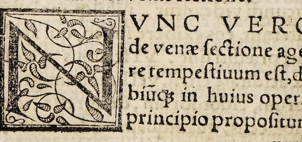 An illustration from Tractatus de peste ac febribus cum puncticulis vulgo tavardillo, 1582, leaf 176