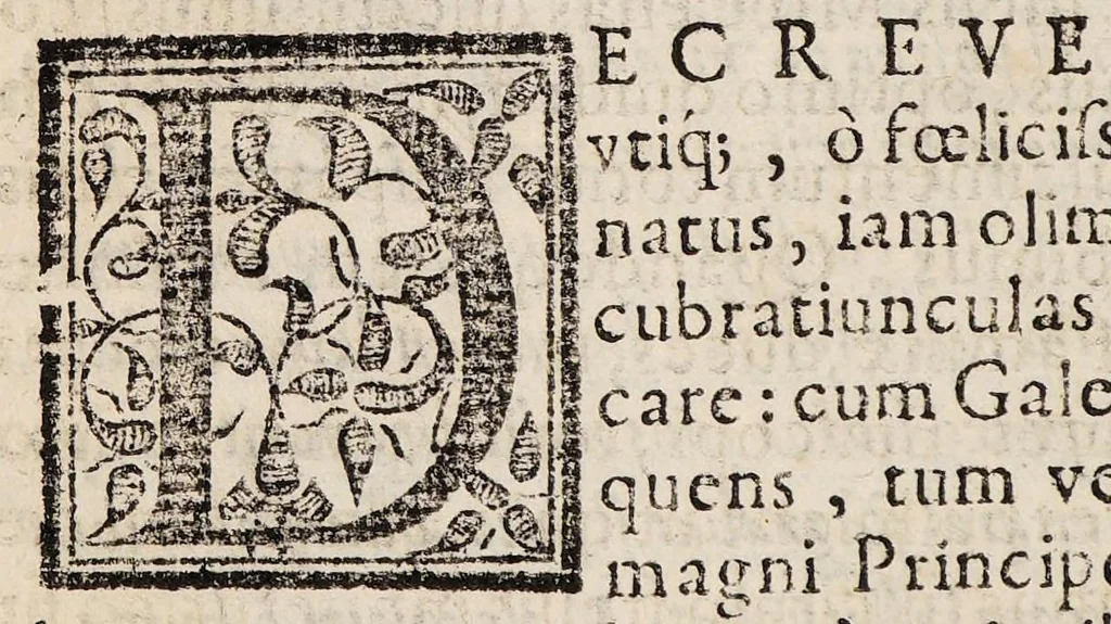 An illustration from Tractatus de peste ac febribus cum puncticulis vulgo tavardillo, 1582, leaf 20