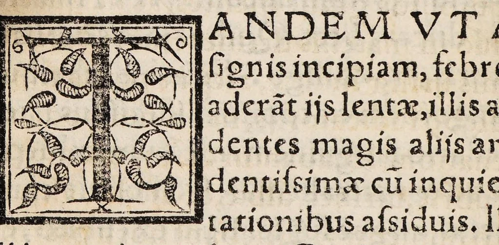 An illustration from Tractatus de peste ac febribus cum puncticulis vulgo tavardillo, 1582, leaf 28