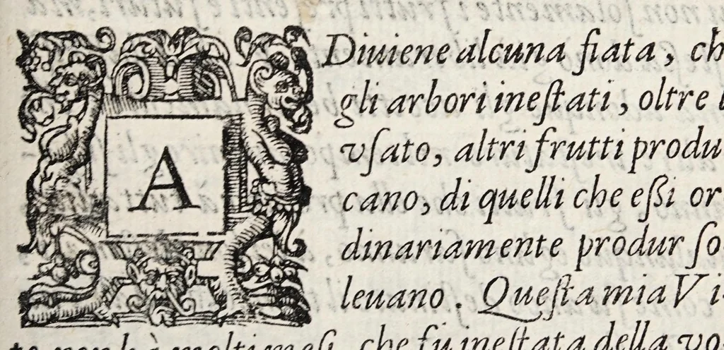 An illustration from Discorsi d'intorno a tumori ed ossi frontespiziali, 1585, leaf 3