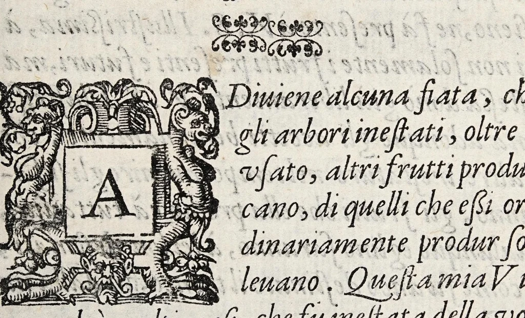 An illustration from Discorsi d'intorno a tumori ed ossi frontespiziali, 1585, leaf 5