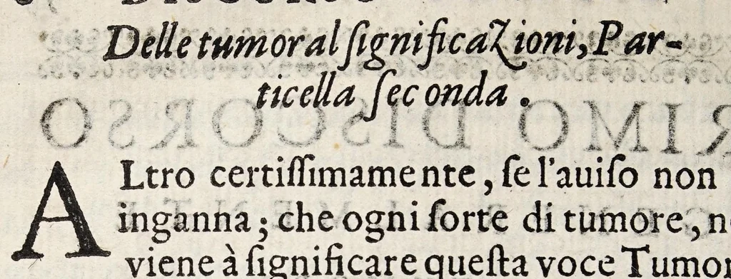 An illustration from Discorsi d'intorno a tumori ed ossi frontespiziali, 1585, leaf 6