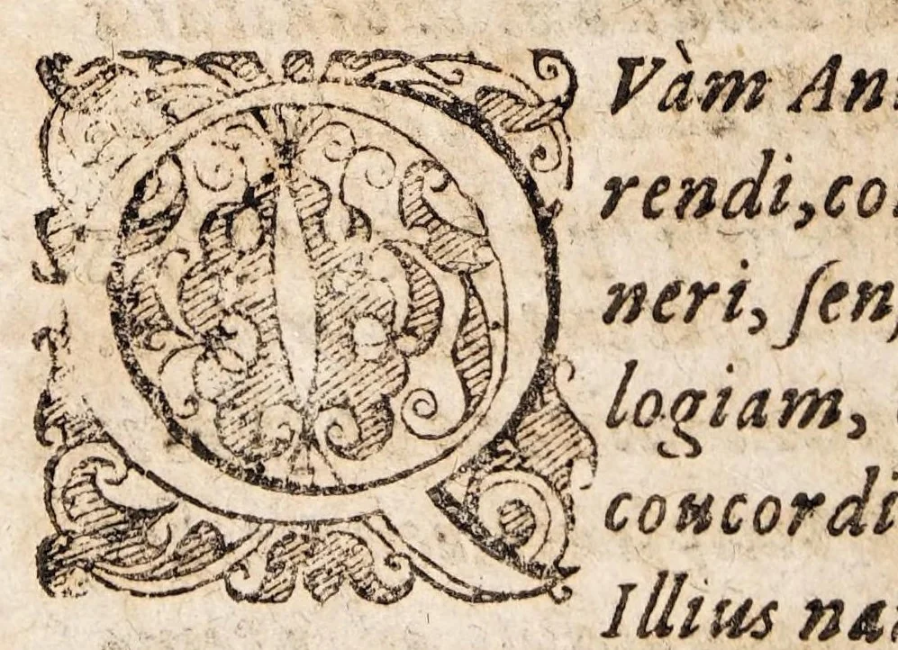 An illustration from De epilepsia, seu morbo comitiali, assertiones medicae, 1592, leaf 2