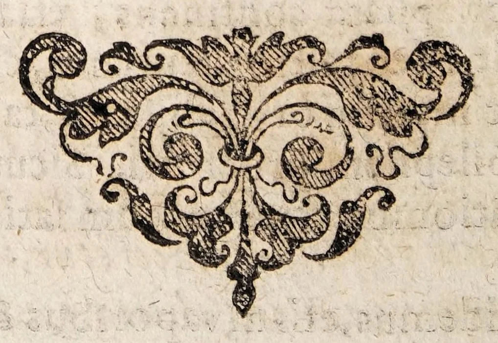 An illustration from De epilepsia, seu morbo comitiali, assertiones medicae, 1592, leaf 6