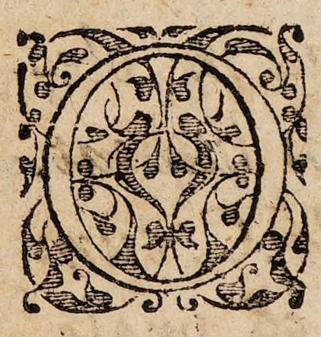 An illustration from Katholoy omnium praesidiorum medicorum universalium & topicorum disquisitio, qua quorundam practicorum in administratione & usu eorundem, errores deteguntur, legitima utendi ratio docetur: Ad sanctissimae trinitatis laudem & gloriam, artis medicae illustrationem, aegrotorúmque omnium releuationem,, 1595, leaf 6