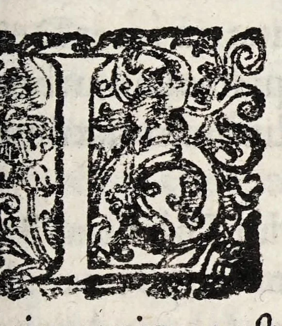 An illustration from Tractatvs tres exactissimi, 1599, leaf 161