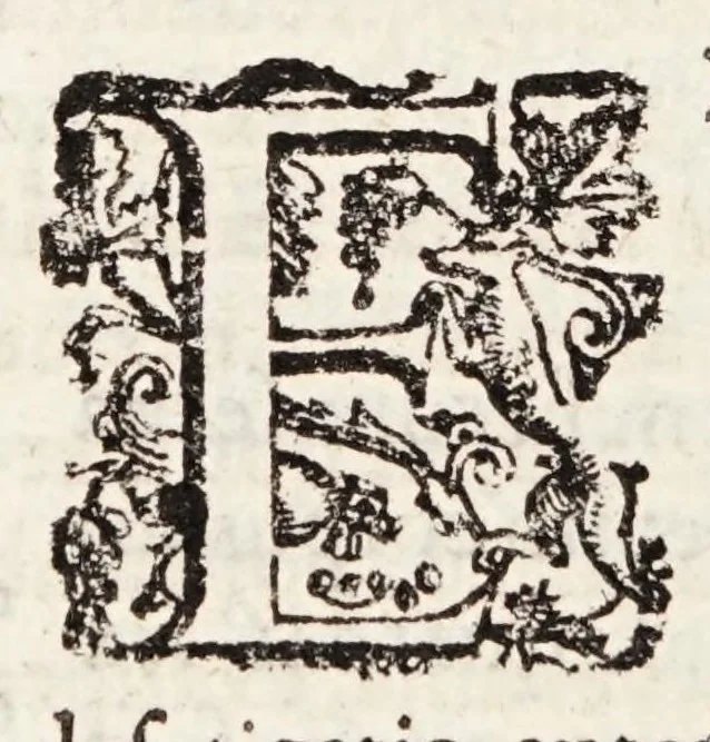 An illustration from Tractatvs tres exactissimi, 1599, leaf 184