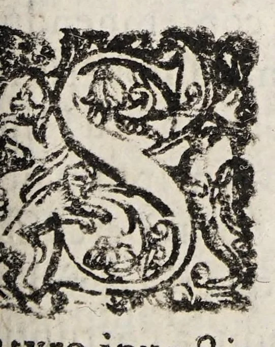 An illustration from Tractatvs tres exactissimi, 1599, leaf 273