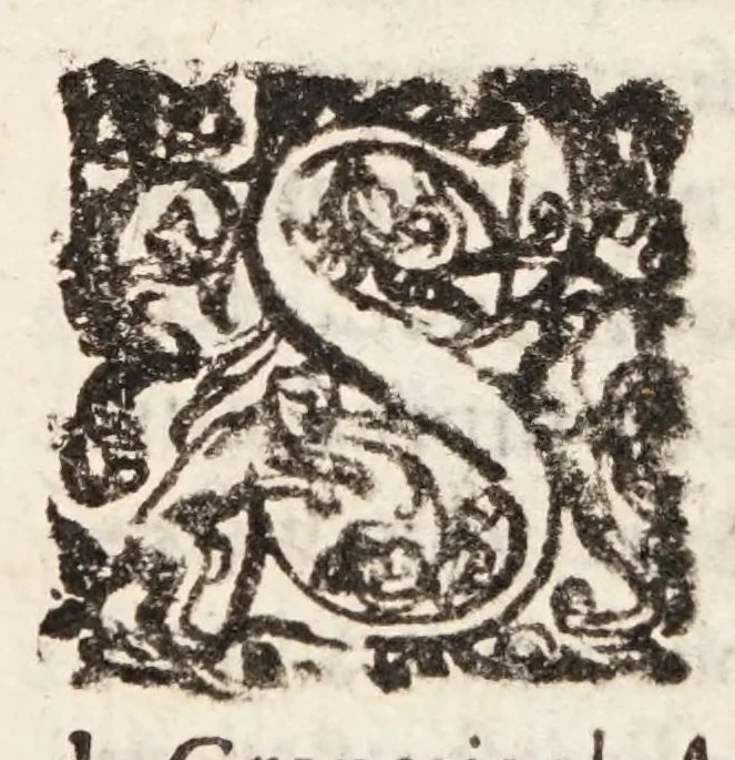 An illustration from Tractatvs tres exactissimi, 1599, leaf 278