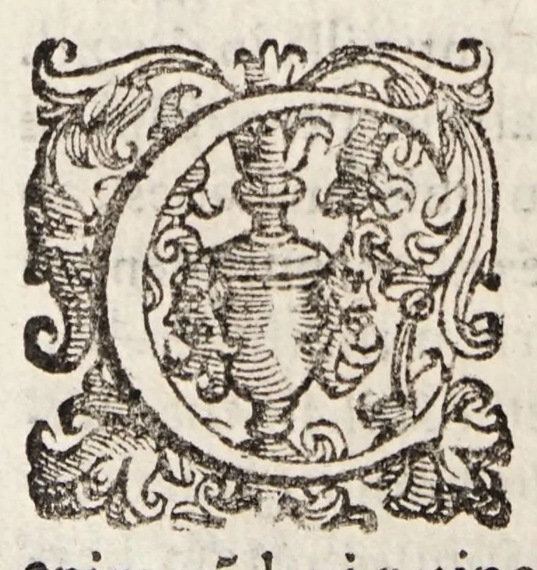 An illustration from Tractatvs tres exactissimi, 1599, leaf 286
