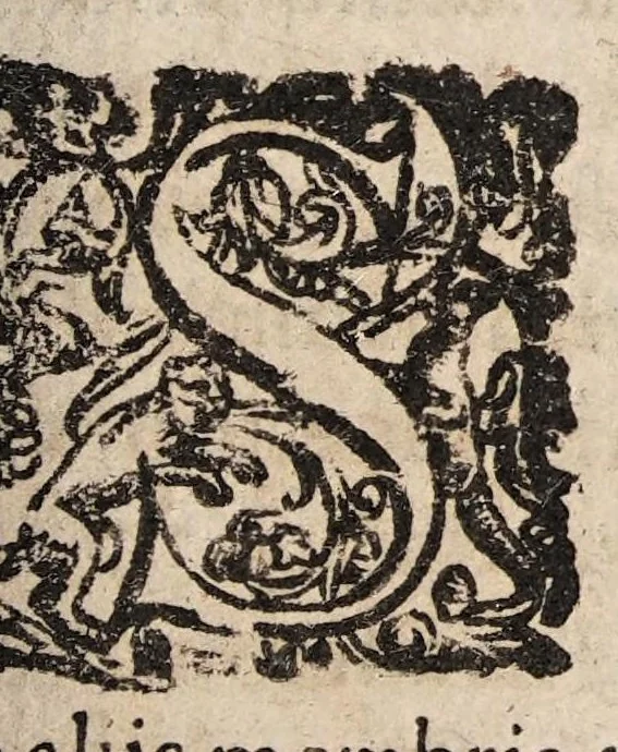 An illustration from Tractatvs tres exactissimi, 1599, leaf 291