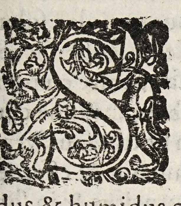 An illustration from Tractatvs tres exactissimi, 1599, leaf 319