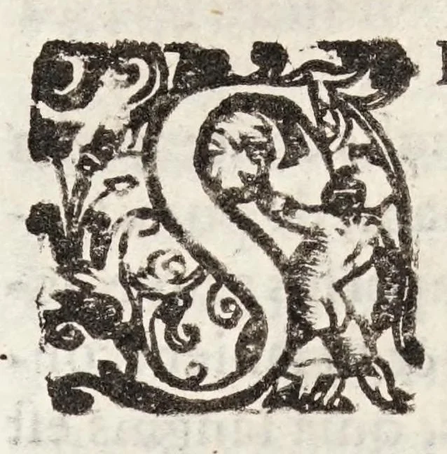 An illustration from Tractatvs tres exactissimi, 1599, leaf 320