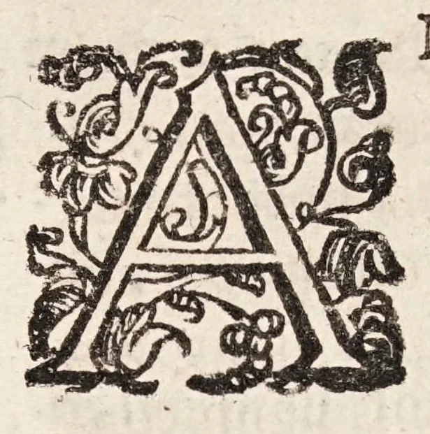An illustration from Tractatvs tres exactissimi, 1599, leaf 324