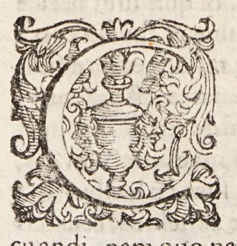 An illustration from Tractatvs tres exactissimi, 1599, leaf 324