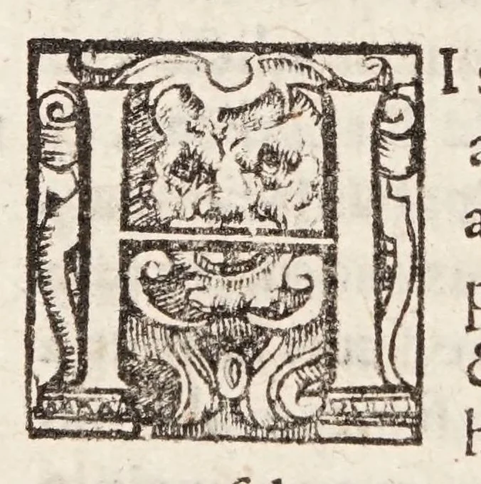 An illustration from Tractatvs tres exactissimi, 1599, leaf 328