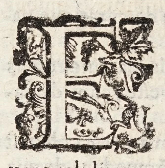 An illustration from Tractatvs tres exactissimi, 1599, leaf 336