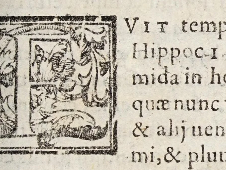 An illustration from Tractatvs tres exactissimi, 1599, leaf 353