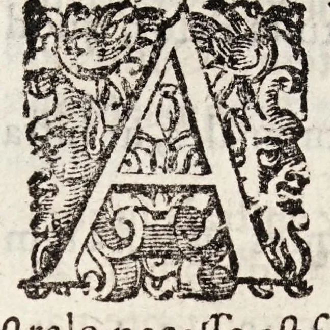An illustration from Tractatvs tres exactissimi, 1599, leaf 52