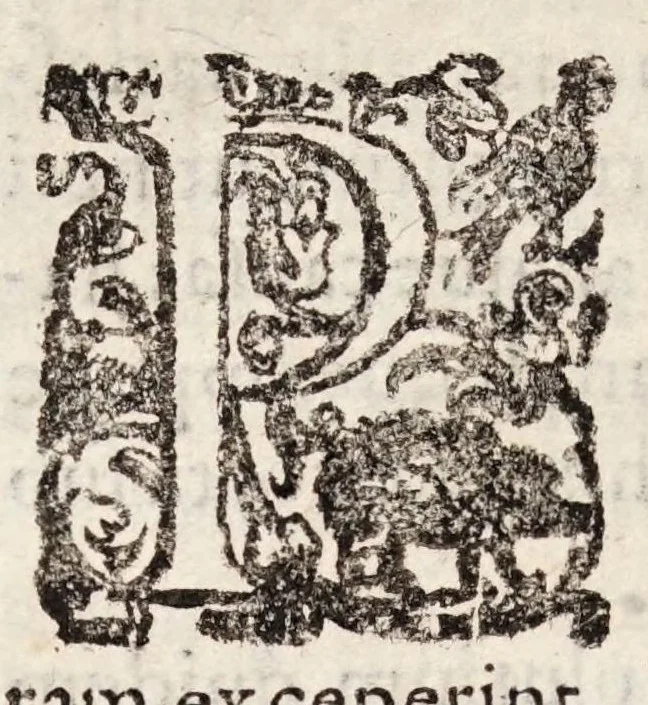 An illustration from Tractatvs tres exactissimi, 1599, leaf 94