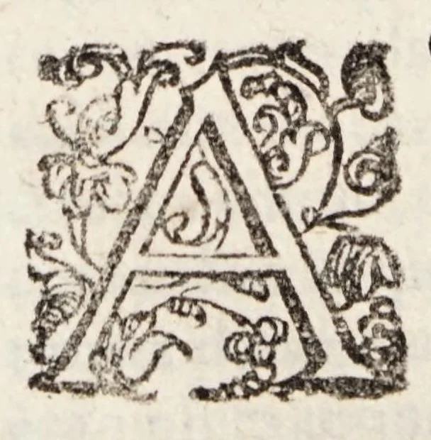 An illustration from Tractatvs tres exactissimi, 1599, leaf 94