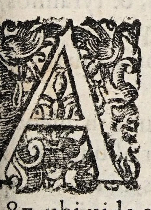 An illustration from Tractatvs tres exactissimi, 1599, leaf 95
