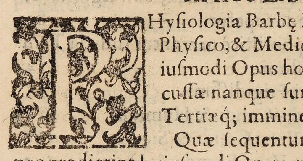 An illustration from Uterus muliebris hoc est de indiciis cognoscendi temperamenta uteri, vel partium genitalium ipsius mulieris. Liber unus ... Graecorum, Arabum, et Latinorum testimonia ad hanc doctrinam pertinentia, 1601, leaf 14