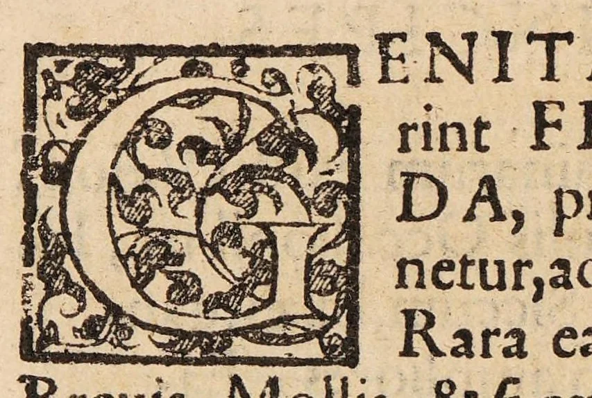 An illustration from Uterus muliebris hoc est de indiciis cognoscendi temperamenta uteri, vel partium genitalium ipsius mulieris. Liber unus ... Graecorum, Arabum, et Latinorum testimonia ad hanc doctrinam pertinentia, 1601, leaf 192