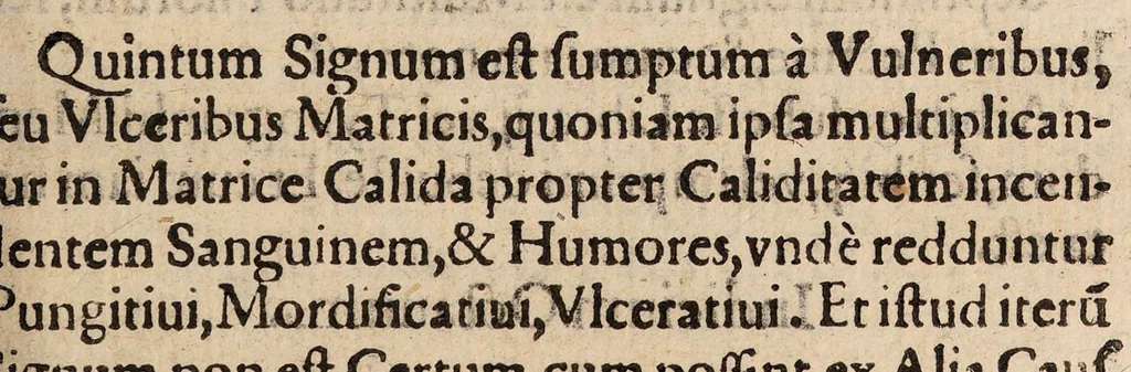 An illustration from Uterus muliebris hoc est de indiciis cognoscendi temperamenta uteri, vel partium genitalium ipsius mulieris. Liber unus ... Graecorum, Arabum, et Latinorum testimonia ad hanc doctrinam pertinentia, 1601, leaf 229