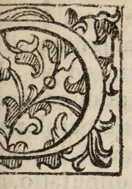 An illustration from De arthritide liber unus, 1602, leaf 9