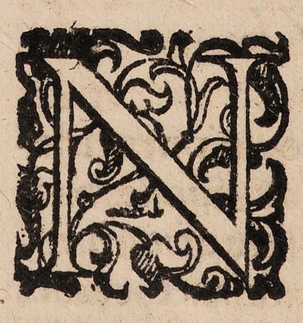 An illustration from De morbis, qui Imolae, et alibi communiter hoc anno M.DCII. vagati sunt, : commentariolum, in quo potissimum de lumbricis tractatur, et de morbo novo prolapsu scilicet mucronatae cartilaginis libellus., 1603, leaf 18