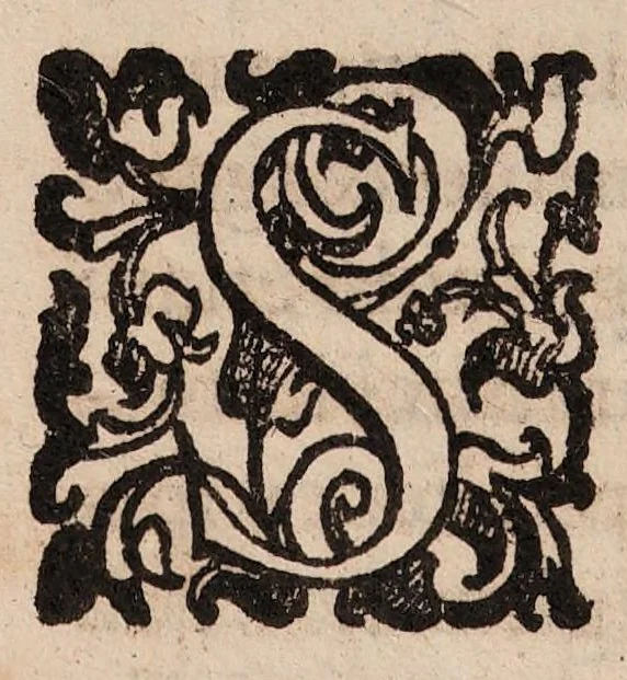 An illustration from De morbis, qui Imolae, et alibi communiter hoc anno M.DCII. vagati sunt, : commentariolum, in quo potissimum de lumbricis tractatur, et de morbo novo prolapsu scilicet mucronatae cartilaginis libellus., 1603, leaf 22