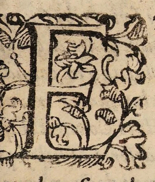 An illustration from De morbis, qui Imolae, et alibi communiter hoc anno M.DCII. vagati sunt, : commentariolum, in quo potissimum de lumbricis tractatur, et de morbo novo prolapsu scilicet mucronatae cartilaginis libellus., 1603, leaf 3