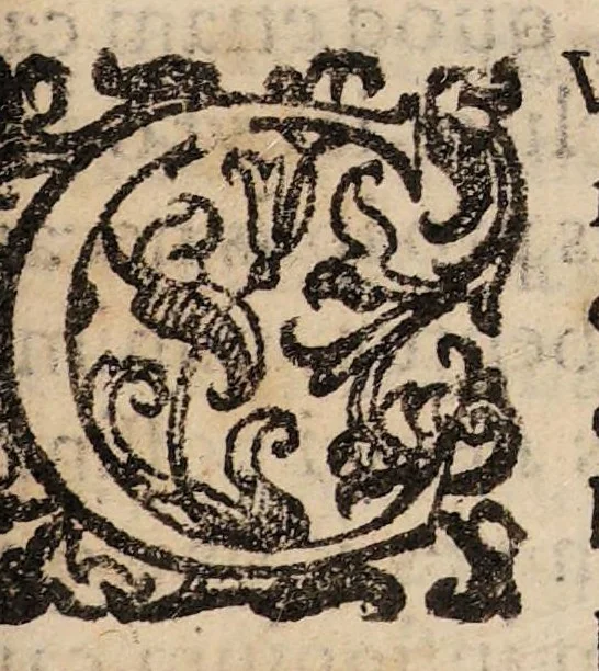 An illustration from De morbis, qui Imolae, et alibi communiter hoc anno M.DCII. vagati sunt, : commentariolum, in quo potissimum de lumbricis tractatur, et de morbo novo prolapsu scilicet mucronatae cartilaginis libellus., 1603, leaf 7