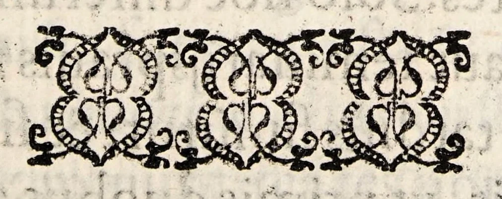 An illustration from De febribus morbisque malignis et pestilentia necnon de earum causis, praesagijs, curatione, & praeseruatione liber, 1604, leaf 45