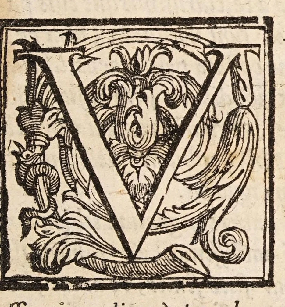 An illustration from De febribus morbisque malignis et pestilentia necnon de earum causis, praesagijs, curatione, & praeseruatione liber, 1604, leaf 5