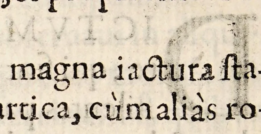 An illustration from De febribus morbisque malignis et pestilentia necnon de earum causis, praesagijs, curatione, & praeseruatione liber, 1604, leaf 68