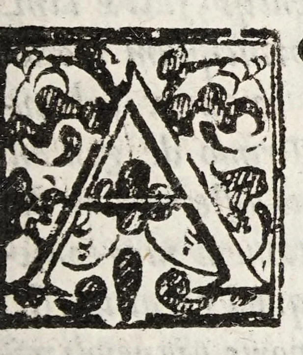 An illustration from Disputatio in tres partes divisa, in qua ea, quae de semine sunt controversa inter Peripateticos, et veteres medicos, et doctissimos quosdam neotericos accuratissime discutiuntur, 1609, leaf 133