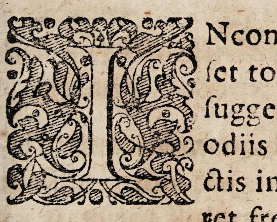 An illustration from Gregor. HorstI D. Dissertatio de natura amoris : in illustris Academiae Giessenae panegyrica festivitate publice proposita, cum tres eruditione & virtute macti viri-juvenes Artis Medicae Laureâ Doctorali solemniter IV. non. April. anno MDCXI. ab eodem coronarentur, additis resolutionibus quaestionum dnn. candidatorum, de cura furoris amatorii, de philtris, atque de pulsu amantium, 1611, leaf 9