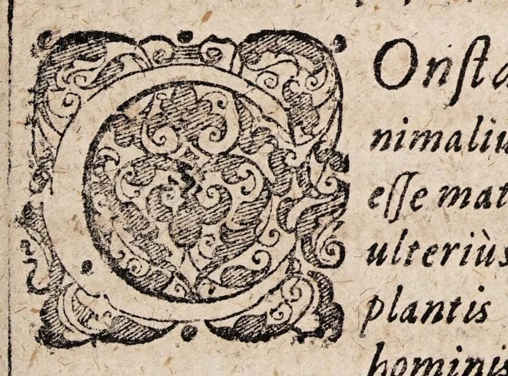 An illustration from Casp. Bartholini Malmogij Dani Problematvm philosophicorvm & medicorvm nobiliorum & rariorum miscell. exercitationes ad disputandum in illustri Albiacâ propositae, 1611, leaf 31