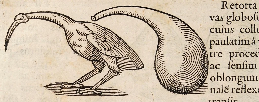 An illustration from Solis e puteo emergentis: sive dissertationis chymiotechnicae libri tres. In quibus totius operationis chymicae methodus practica: materia lapidis philosophici, et nodus [sic] solvendi ejus, operandique, ut et clavis operum Paracelsi qua abstrusa explicantur, deficientia supplentur. Cum praefatione chymiae veritatem asserente ..., 1613, leaf 46