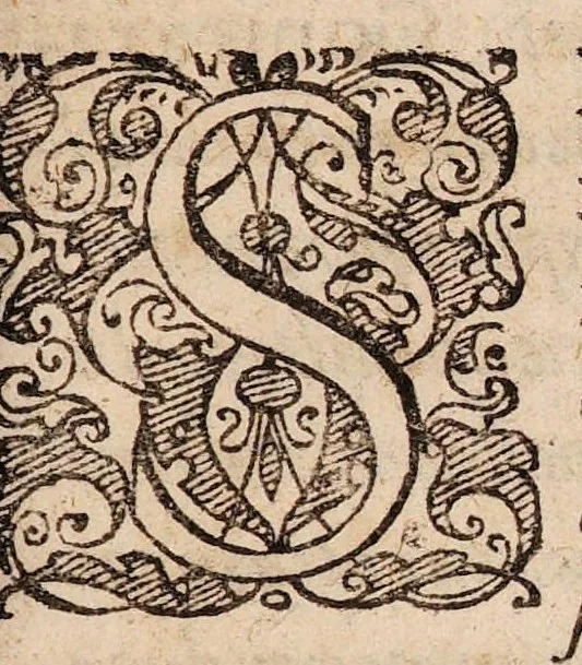 An illustration from Disputationes de recta ratione purgandi, docentes quos, quibus pharmacis, et quo tempore, purgare deceat ..., 1621, leaf 133