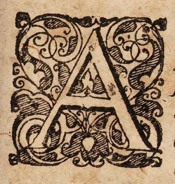 An illustration from Disputationes de recta ratione purgandi, docentes quos, quibus pharmacis, et quo tempore, purgare deceat ..., 1621, leaf 37