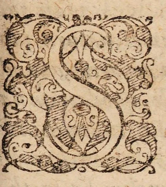 An illustration from Disputationes de recta ratione purgandi, docentes quos, quibus pharmacis, et quo tempore, purgare deceat ..., 1621, leaf 69
