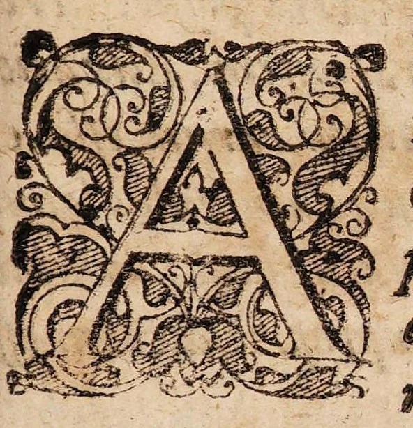 An illustration from Disputationes de recta ratione purgandi, docentes quos, quibus pharmacis, et quo tempore, purgare deceat ..., 1621, leaf 85