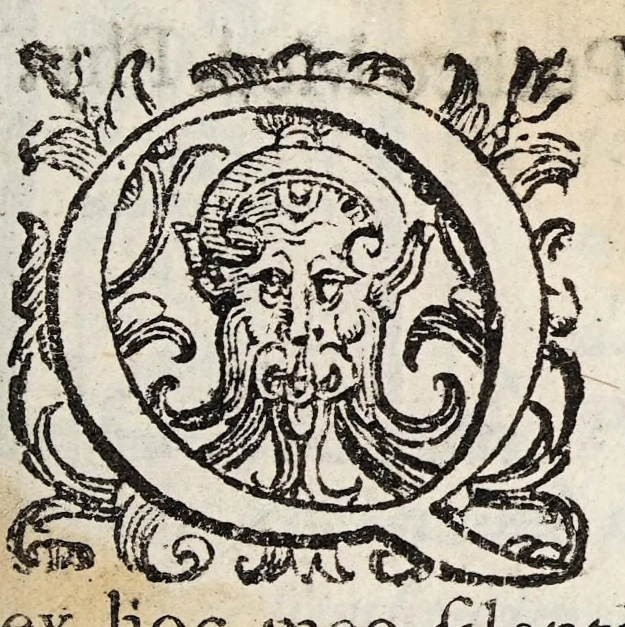 An illustration from Historia de gumma Indica anteasthmatica, antehydropica, et antepodagrica., 1628, leaf 3