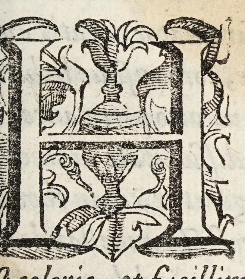 An illustration from Historia de gumma Indica anteasthmatica, antehydropica, et antepodagrica., 1628, leaf 5