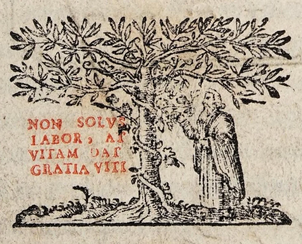 An illustration from Medicus microcosmus seu spagyria microcosmi triplo auctior et correctior. Exhibens medicinam corpore hominis tùm vivo, tum extincto doctè eruendam, scitè praeparandam & dextre propinandam ..., 1633, leaf 1